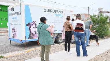 Campañas de cuidado animal: vacunaciones y castraciones gratis este finde