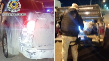 Escándalo en Sarmiento: choque, guanacos, alcohol y un arma en plena calle