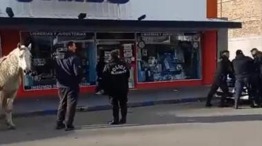 Se robó un caballo de la Sociedad Rural y lo paseó a pie por el centro de Esquel