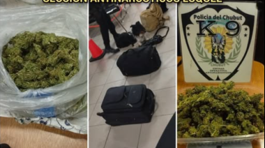 Lo delató el scanner, el perro y... la balanza digital: intentó pasar con marihuana y quedó pegado