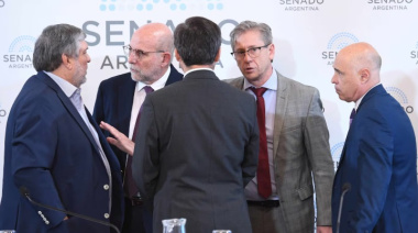 El Senado define el futuro de los fondos para Universidades y Garrahan