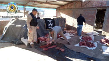 Incautan 800 kilos de carne de guanaco y arsenal ilegal en Trelew