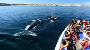 Puerto Madryn arrancó la semana del turismo con paseos, charlas y feria