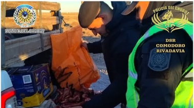 Cayeron in fraganti con dos guanacos faenados: sin permiso y en plena ruta