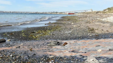 Absolvieron a directivos de Conarpesa y nadie sabe quién contaminó el Golfo