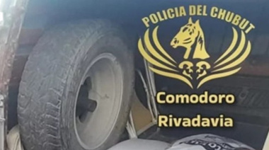 Incautan carne de jabalí y gallinas sin papeles en Comodoro
