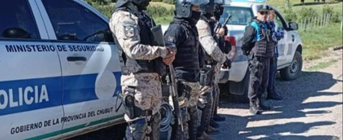 La Policía desarticuló una red de actividad forestal ilegal en la Comarca Andina