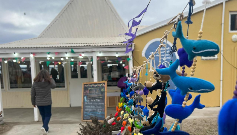 Puerto Madryn se pone creativo: ferias, talleres y mar en primera fila