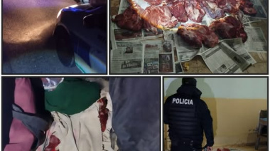 🦙 Lo frenaron por exceso de carga y terminó con el auto secuestrado: llevaba carne de guanaco