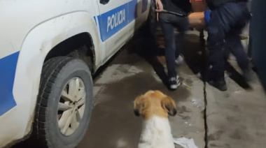 Lo encontró robando su auto y lo molió a piñas antes de que llegue la policía
