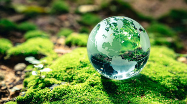 Día Mundial del Medio Ambiente: 5 cambios simples para no mirar al costado