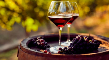 Puerto Madryn se llena de vino: llega el Primer Encuentro Chubutense de Productores Vitivinícolas