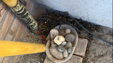 Una jubilada intentó electrocutar a perros callejeros porque entraban a su patio