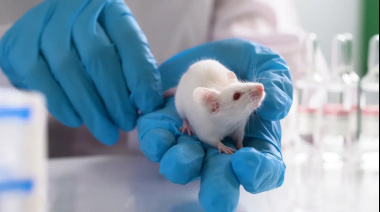 Un estudio logró convertir células cancerosas en neuronas funcionales