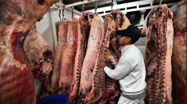 El asado con hueso vuelve a la Patagonia: habilitan su ingreso tras 22 años