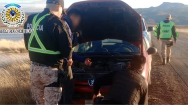 Frenaron a dos tipos y encontraron un ñandú en el asiento trasero
