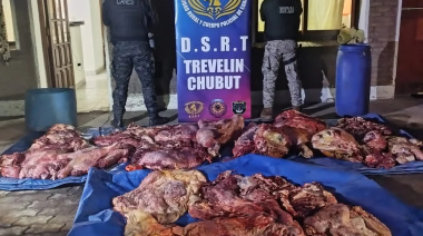 Cargaban carne sin aval sanitario y terminaron con todo secuestrado en Trevelin