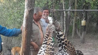 Histórico: cárcel para tres cazadores que mataron un yaguareté en Formosa