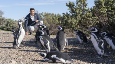 Llega a Puerto Madryn “El señor de los Pingüinos” 🐧
