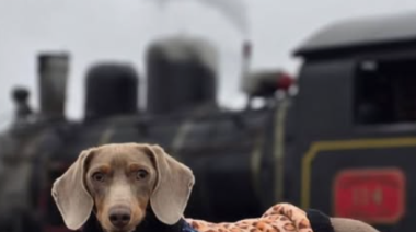 La Trochita ahora permite viajar con mascotas: conocé las condiciones y tarifas