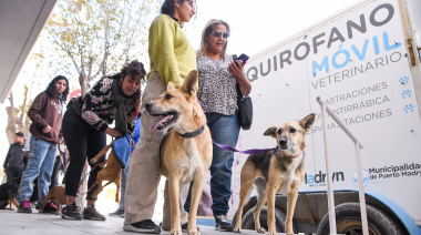 Campaña gratuita de castración y vacunación en el barrio Perón