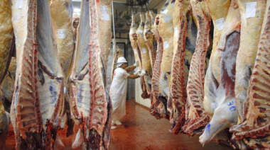 Retenciones cero para la carne y los granos hasta octubre