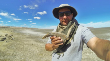 Descubren en Chubut un nuevo dinosaurio carnívoro: el Joaquinraptor