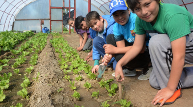 Llega un bachillerato en Energía y Sustentabilidad: la nueva apuesta educativa de la provincia