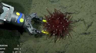 Chubut se prepara para una expedición submarina histórica