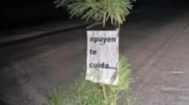Vecinos pusieron pinos en los baches de la Ruta 40 🚧