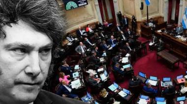 El Senado va por el veto de Milei en discapacidad