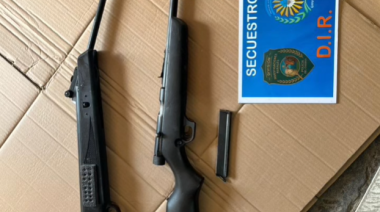 Desmantelaron una carnicería clandestina y secuestraron más de 90 animales en Puerto Madryn