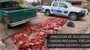 Le secuestraron 700 kilos de carne de guanaco y un rifle tras un operativo en Gaiman