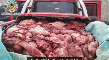 Detuvieron una camioneta con más de 1.500 kilos de carne de guanaco en Trelew