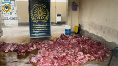 Lo frenaron porque el auto estaba “muy bajo” y descubrieron que llevaba carne de guanaco en el baúl