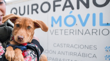 Puerto Madryn refuerza la vacunación antirrábica: el Quirófano Móvil estará una semana frente a la Hélice