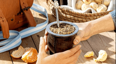 Milei redefine el rol del INYM y libera el mercado de la yerba mate