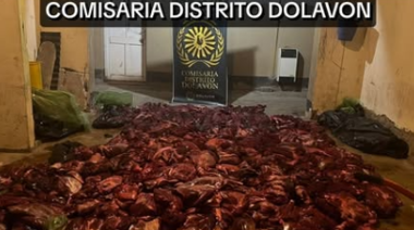 Cayeron en la Ruta 25 con 800 kilos de carne de guanaco ocultos en una camioneta