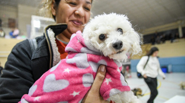 Nueva campaña de castración gratuita en el barrio Perón: entregan 50 turnos por día