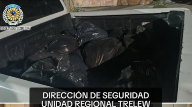 Llevaba más de 500 kilos de carne de guanaco y tenía pedido de captura