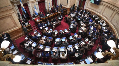 REFORMA LABORAL: Gobierno apura el Senado, pero reconoce que "los tiempos son acotados" para que se apruebe en diciembre