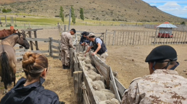 Nueve allanamientos y un botín millonario: secuestran armas, animales y vehículos en un operativo rural en Chubut
