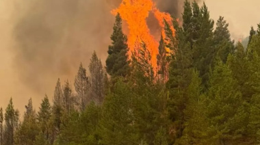 Puerto Patriada: el fuego avanza de forma "explosiva" y confirman el uso de acelerantes