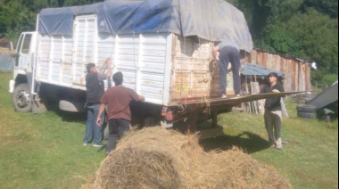 Provincia asiste a productores: entregan forraje y ayuda directa tras los incendios en la Cordillera