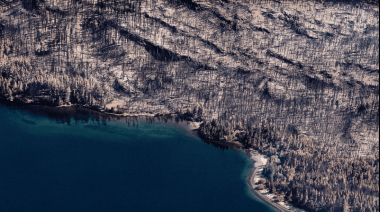 Incendios sin control: Greenpeace mostró desde el aire el desastre que arrasa Chubut