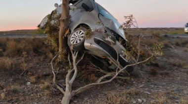 Un auto se incrustó contra un árbol y genera importantes demoras entre Trelew y Rawson
