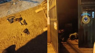 Entró a la Cooperativa de madrugada, rompió cinco candados y lo encontraron escondido entre neumáticos