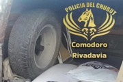 Incautan carne de jabalí y gallinas sin papeles en Comodoro