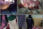 🦙 Lo frenaron por exceso de carga y terminó con el auto secuestrado: llevaba carne de guanaco