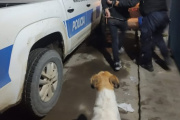 Lo encontró robando su auto y lo molió a piñas antes de que llegue la policía